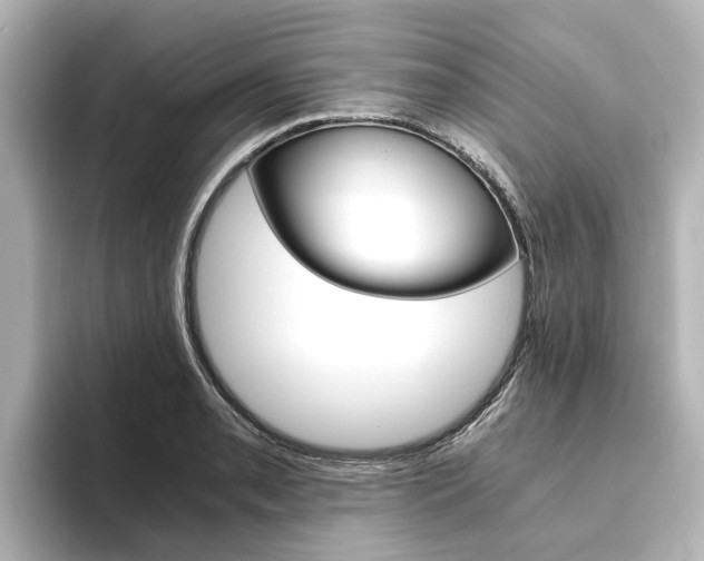 X0000093771085200710160851