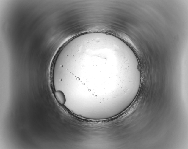 X0000093771087200710160851