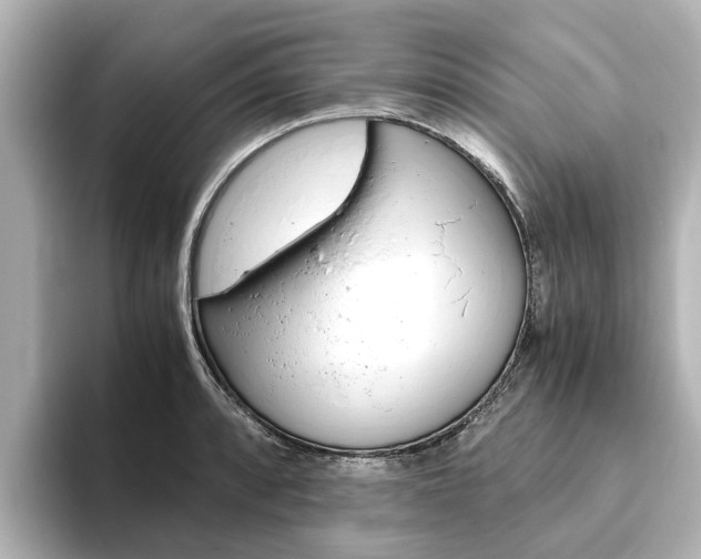 X0000093771088200710160851