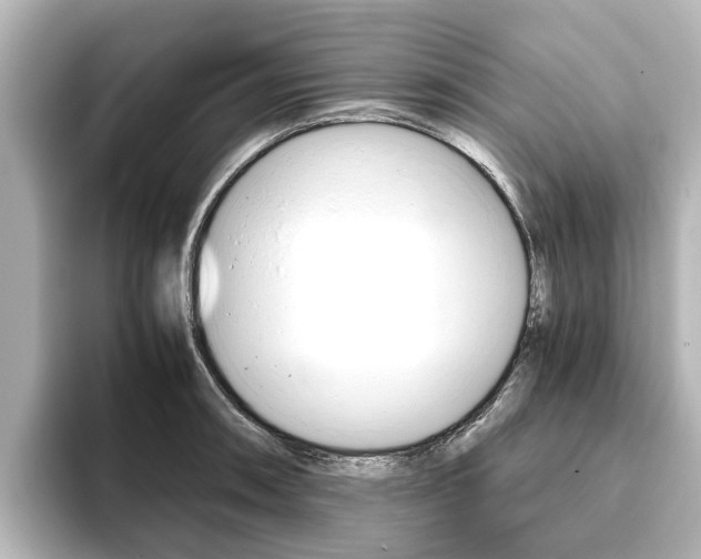 X0000093771090200710160851