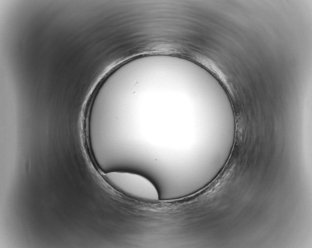 X0000093771091200710160851