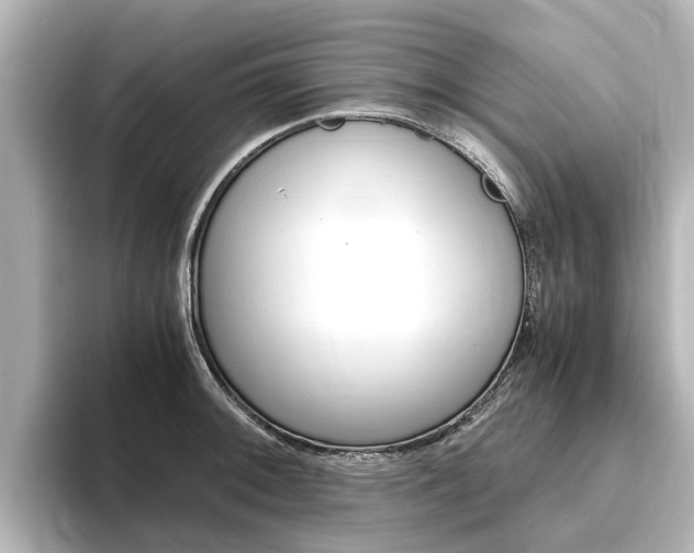 X0000093771092200710160851