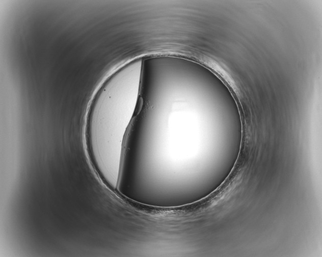 X0000093771093200710160851