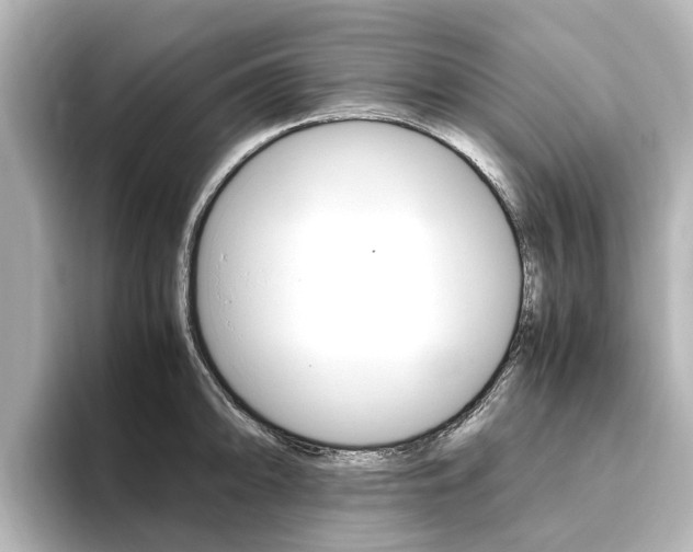 X0000093771094200710160851