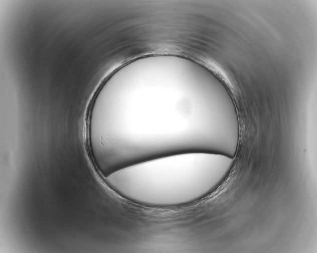 X0000093771095200710160851