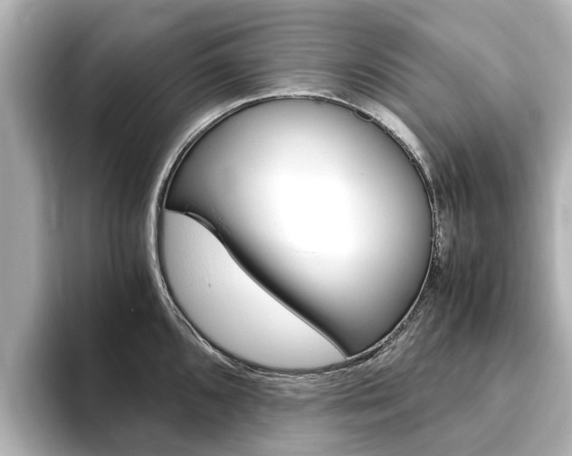 X0000093771096200710160851