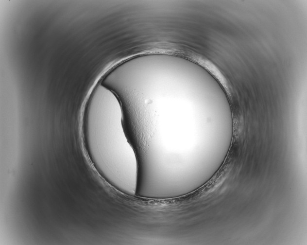 X0000093771099200710160851