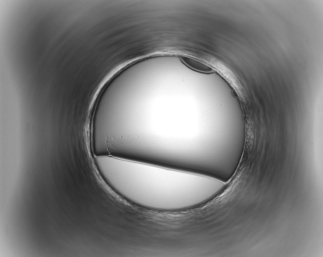 X0000093771100200710160851