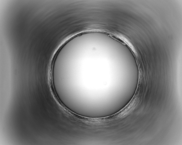 X0000093771101200710160851