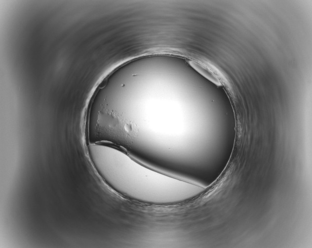 X0000093771102200710160851