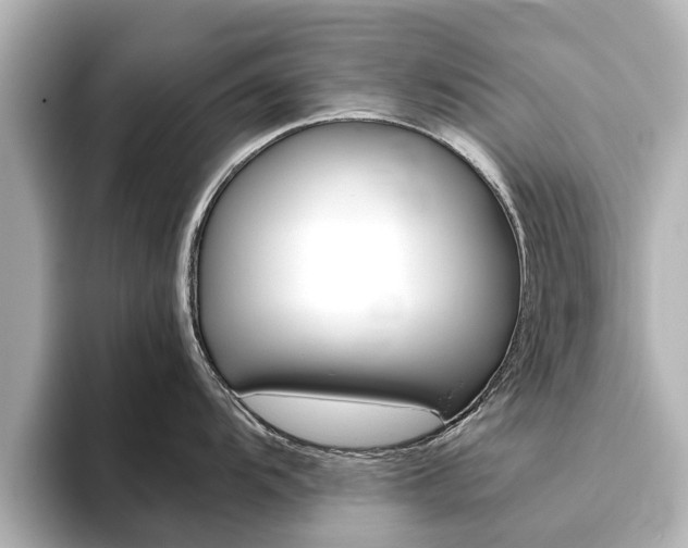 X0000093771104200710160851
