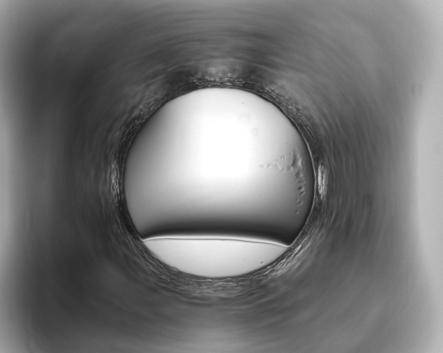 X0000093771107200710160851