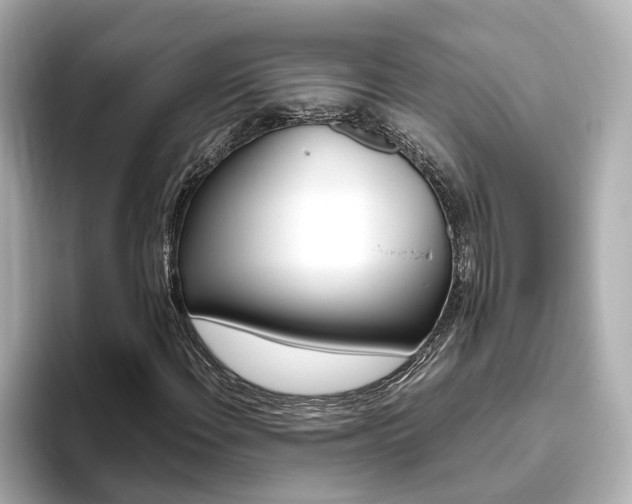 X0000093771108200710160851