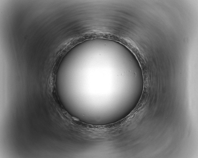 X0000093771110200710160851