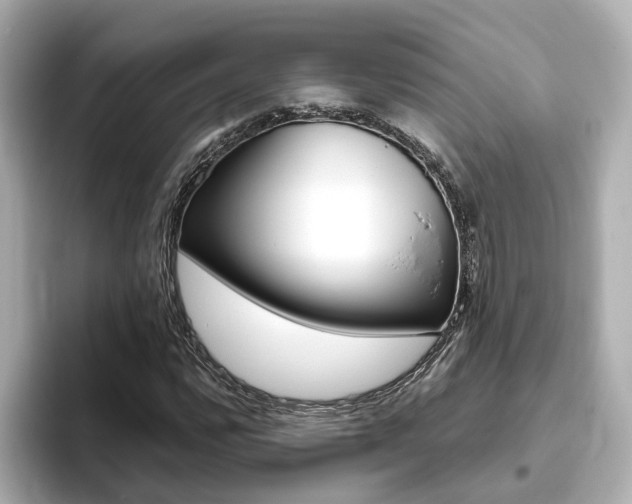 X0000093771112200710160851