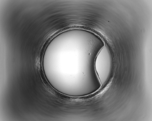 X0000093771113200710160851