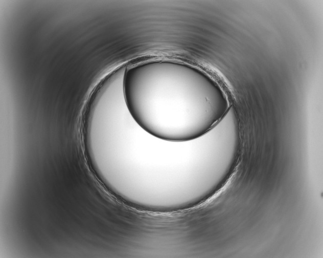 X0000093771114200710160851