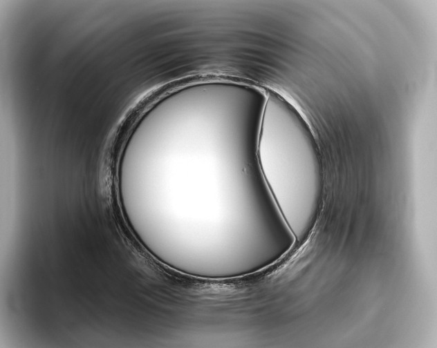 X0000093771115200710160851