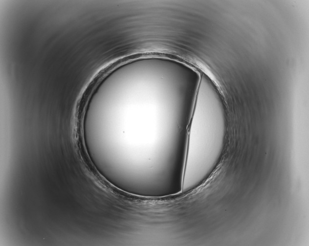 X0000093771116200710160851