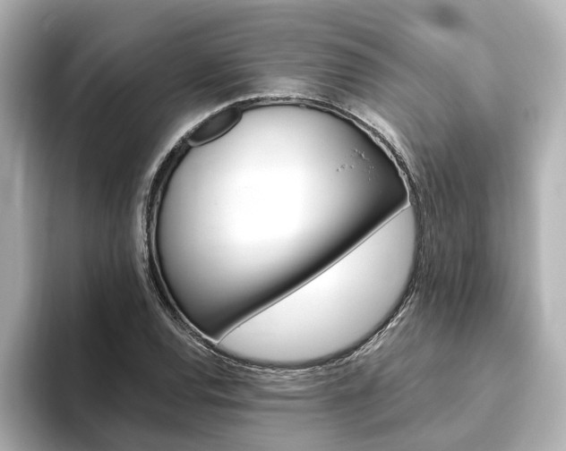 X0000093771120200710160851