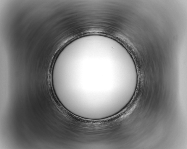 X0000093771121200710160851