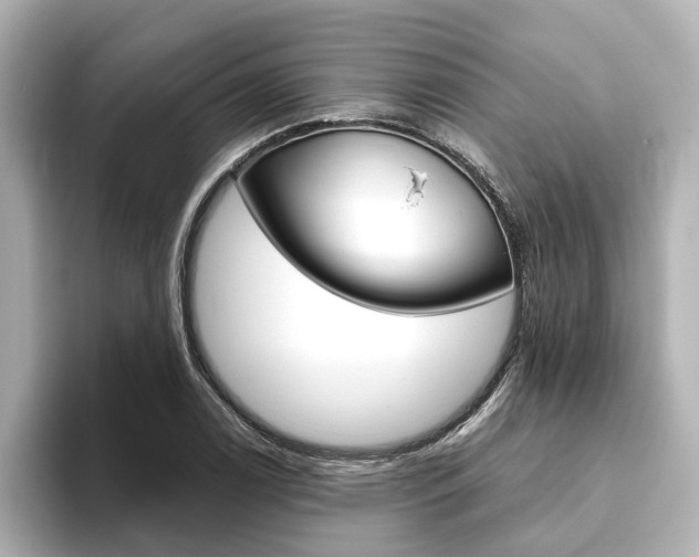 X0000093771122200710160851