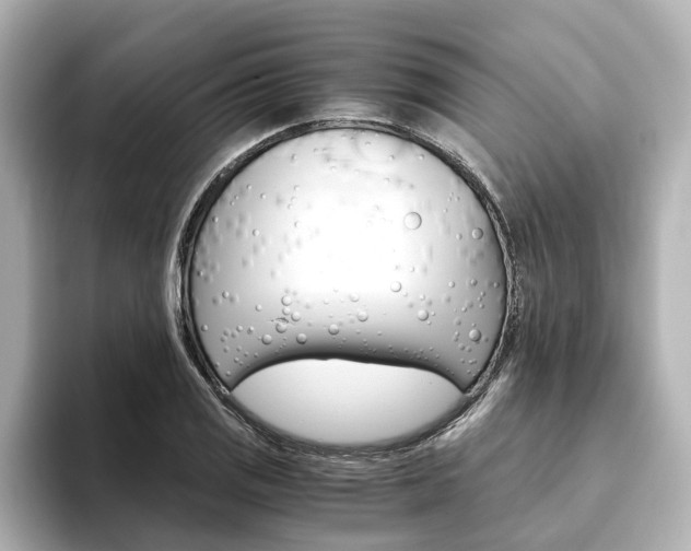 X0000093771125200710160851