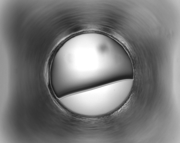 X0000093771127200710160851