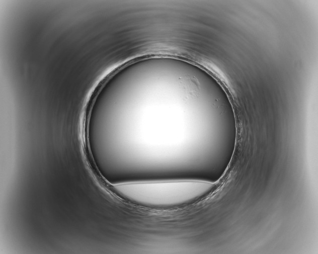 X0000093771128200710160851