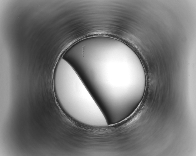 X0000093771129200710160851