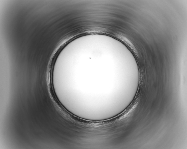 X0000093771130200710160851