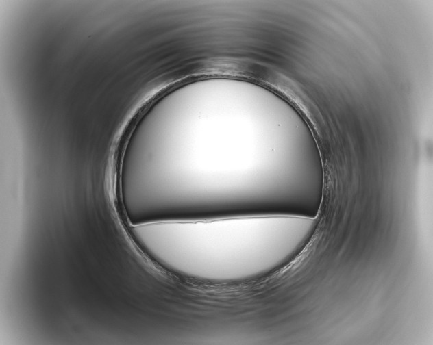 X0000093771131200710160851