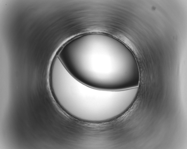 X0000093771132200710160851