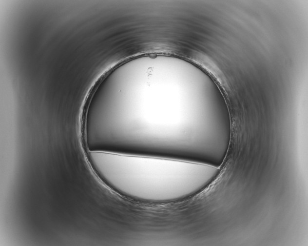 X0000093771135200710160851