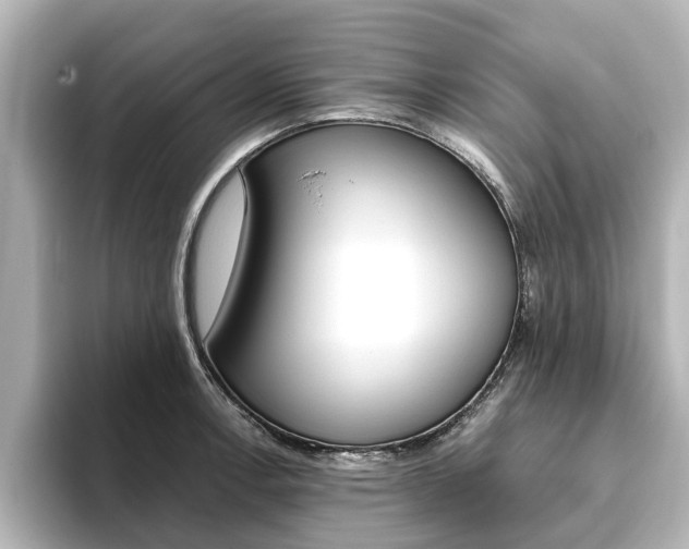 X0000093771138200710160851