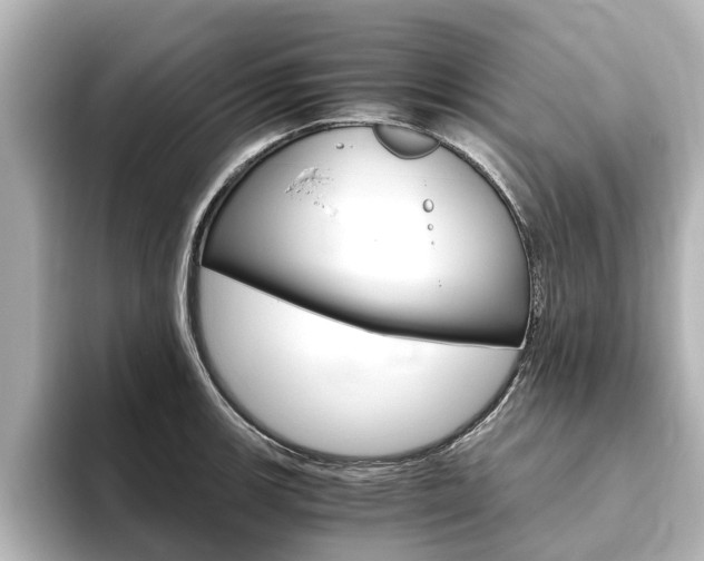 X0000093771139200710160851