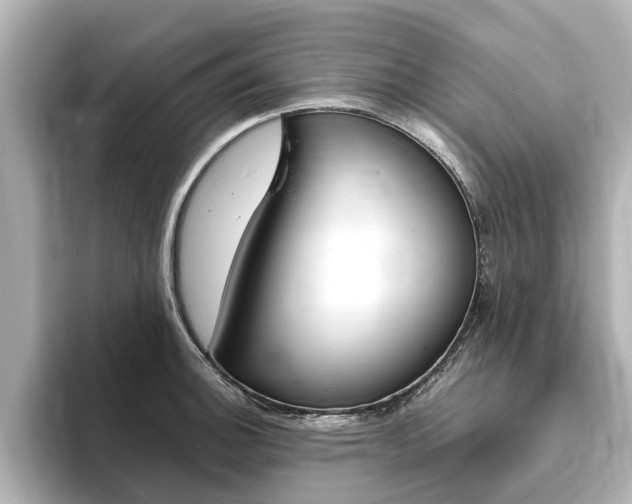X0000093771140200710160851