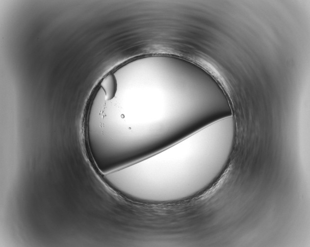 X0000093771141200710160851