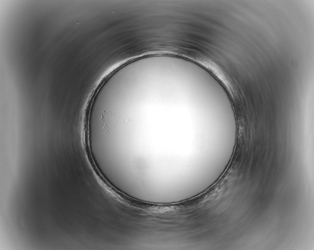 X0000093771143200710160851
