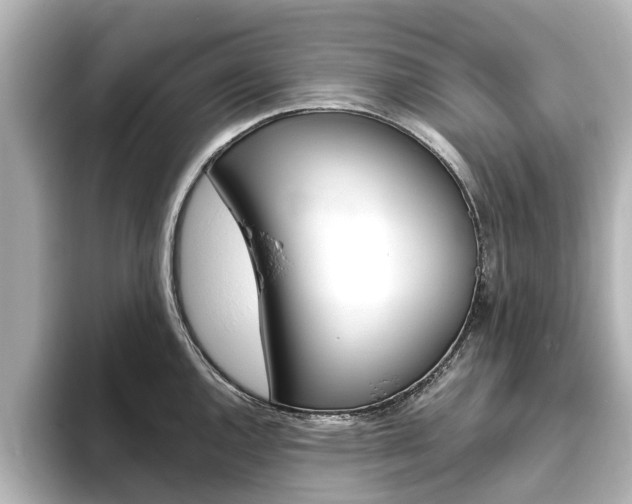 X0000093771144200710160851