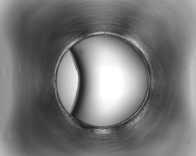 X0000093771145200710160851