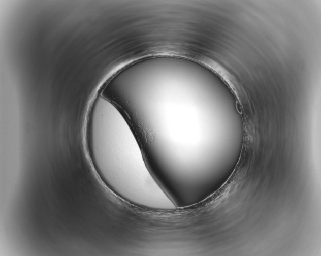 X0000093771147200710160851