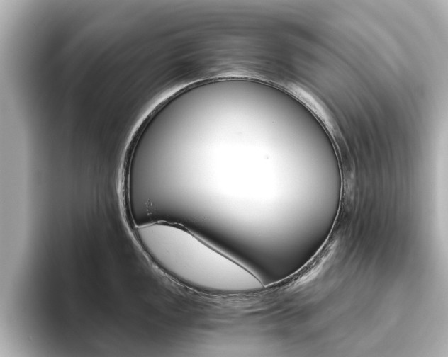 X0000093771149200710160851