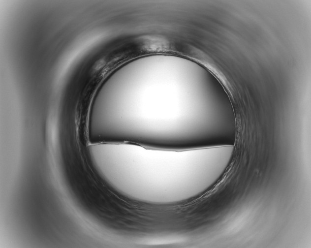 X0000093771151200710160851