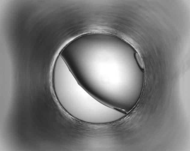 X0000093771152200710160851