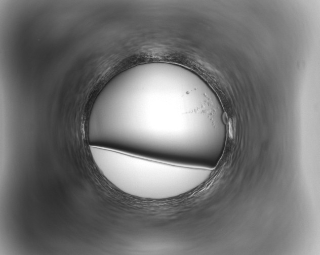 X0000093771155200710160851