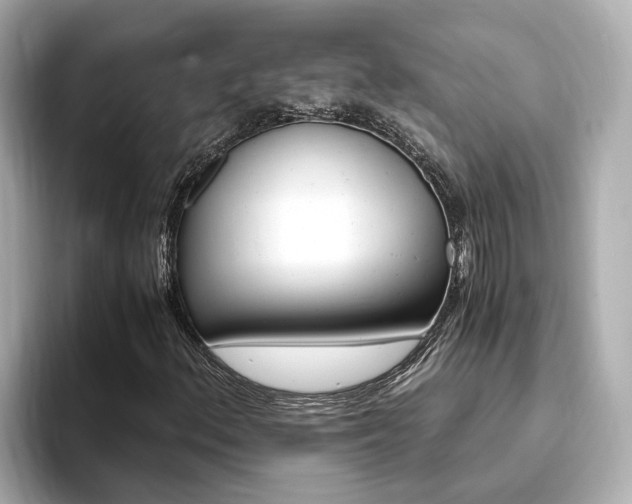 X0000093771156200710160850