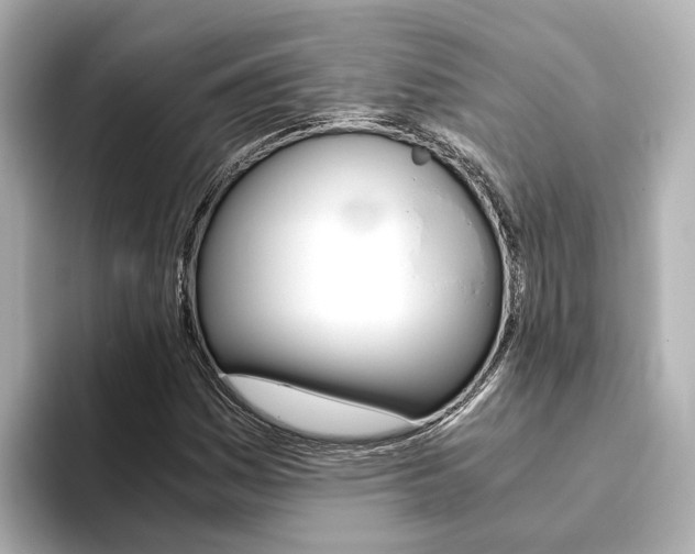 X0000093771161200710160850