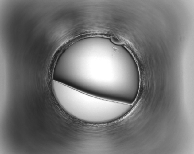 X0000093771163200710160850