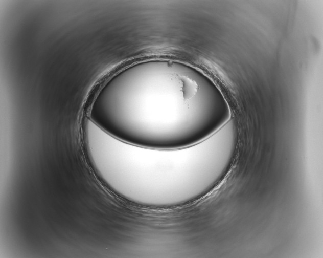X0000093771164200710160850